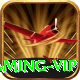 WC99 Gaming VIP